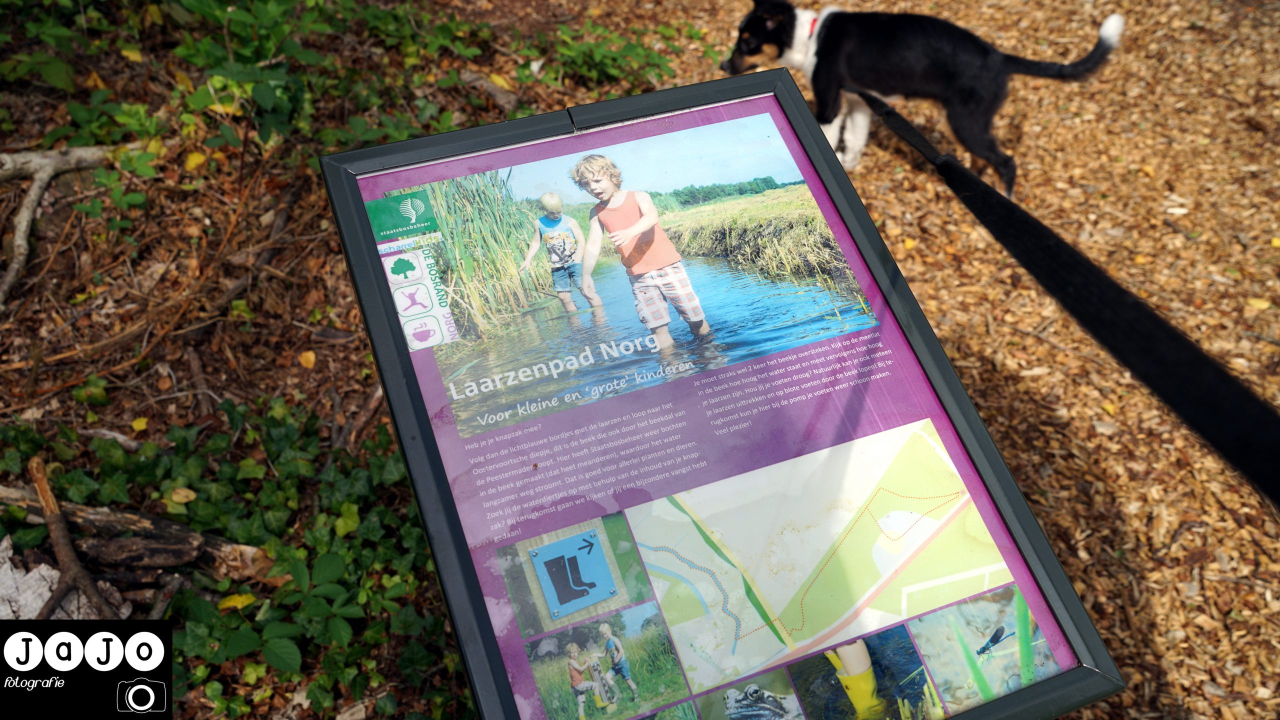 Informatiebord van et Laarzenpad in Norg. Puppy, Wandelen, Laarzenpad, Staatsbosbeheer, Drenthe, Norg, Natuur, Landschap, Vlinder, Flora en Fauna.