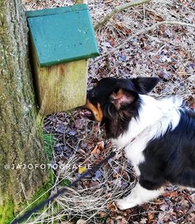 Geocaching, Geocacher, geocachen, Cache bij Esmeer, Multi cache Drenthe, Multi cache, schatzoeken voor volwassenen. 