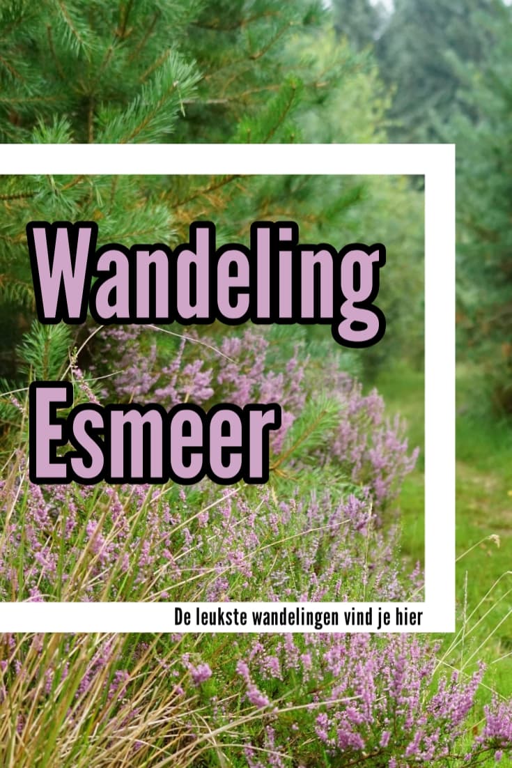Pinterest, pinnen, pin this, Pinterest Pin, Esmeer, wandelen, kop van Drenthe, heide, Pingo ruïne, ijstijd in Drenthe 