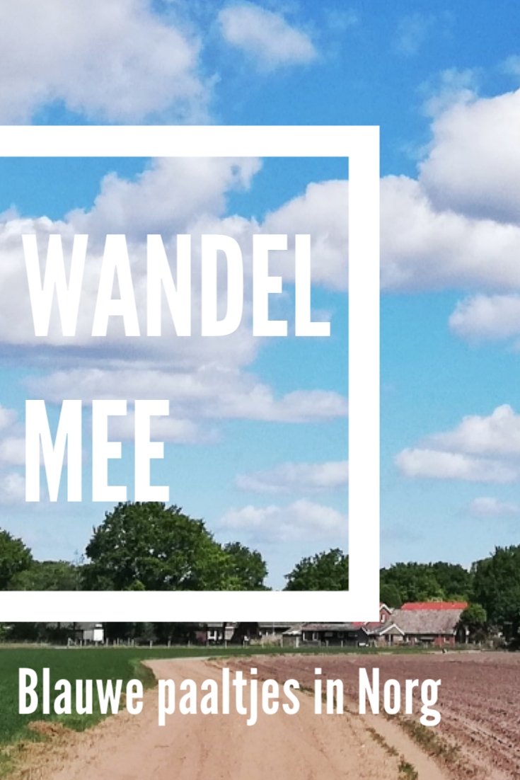 Pinterest afbeelding, gebruik deze foto om op Pinterest te delen