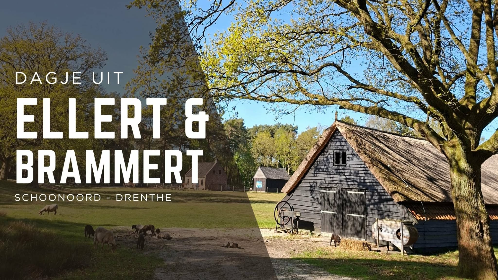 De openingsafbeedling van mijn blog over een dagje weg, naar Ellert & Brammert in Schoonoord, Drenthe.